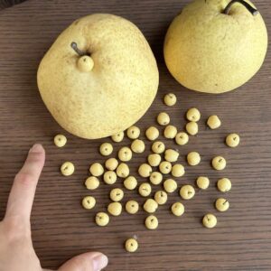 Miniature Pear Clay Fruit Handmade for Dollhouse and Collectibles
