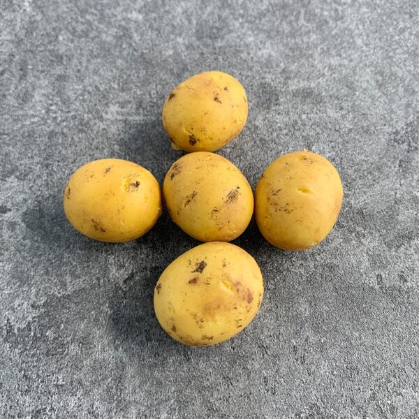 Mini Potato Necklace – Handmade Cute Pendant Jewelry | Pocket Potato by PocketWisp - Image 4