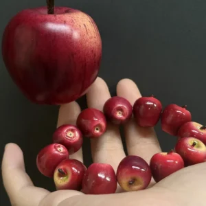 Miniature Apple Beaded Bracelet – Handcrafted Red Fruit Charm Bracelet