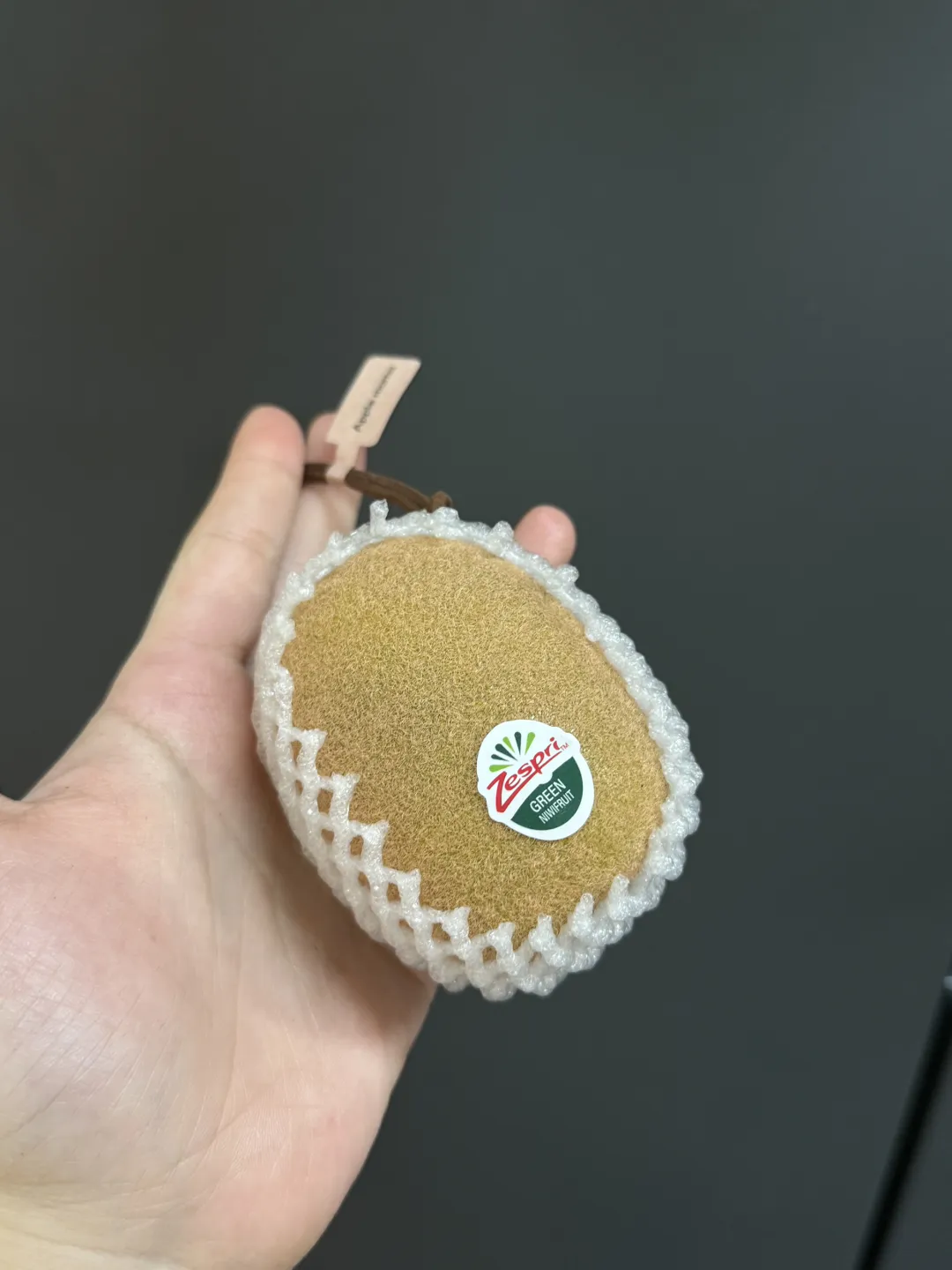Realistic Kiwifruit Bag Charm – Handcrafted Fuzzy Kiwi Keychain with Fruit Net & Suede Cord - Image 2